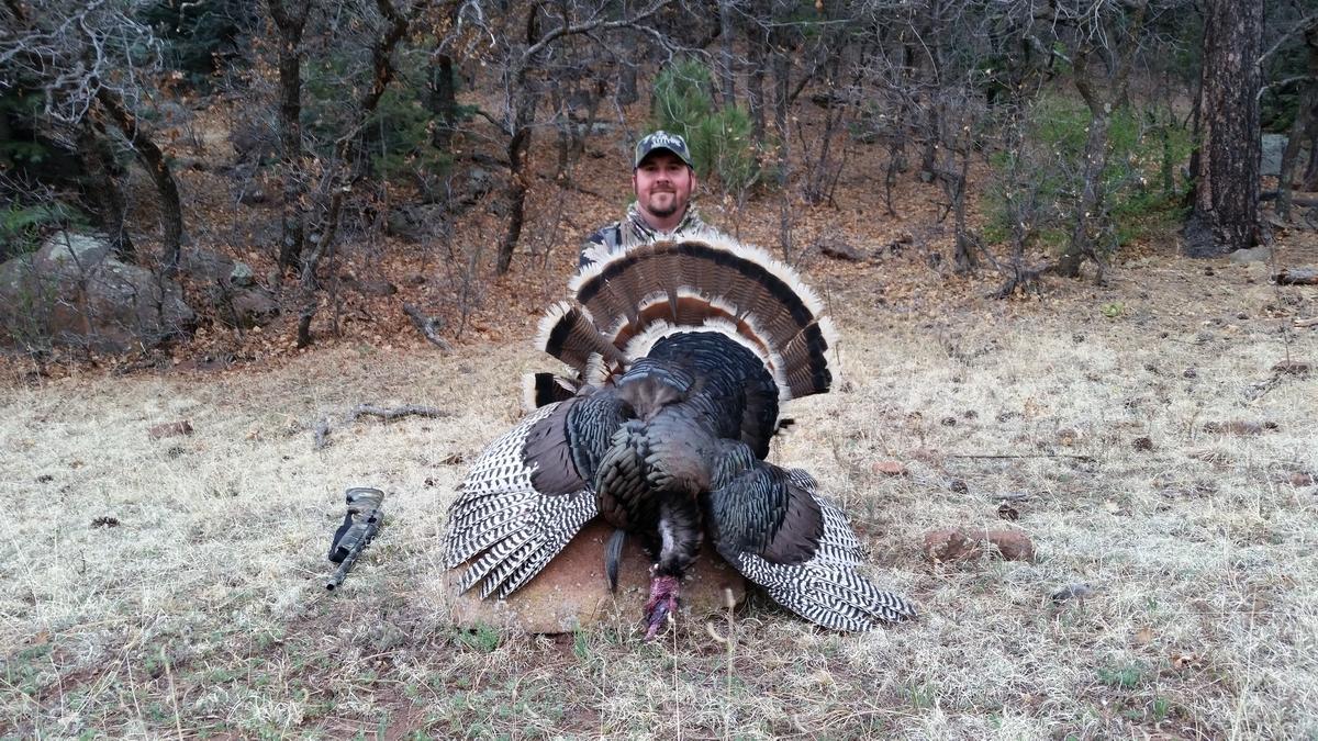 Merriam Turkey Merriam Turkey